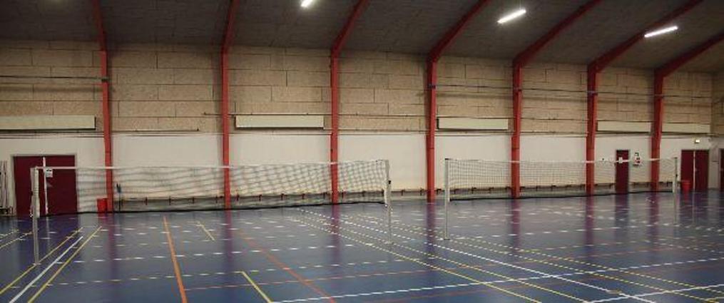 Badmintonbane