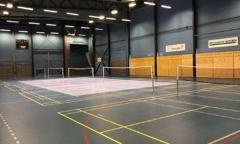 Badmintonbane