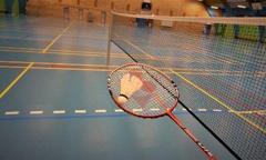 Badmintonbane