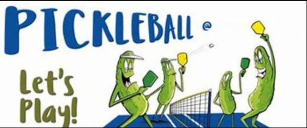 Pickleballbane