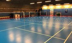 Badmintonbane