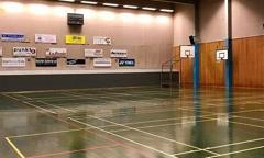 Badmintonbane