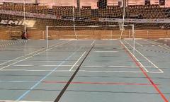 Badmintonbane