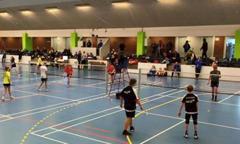 Badmintonbane