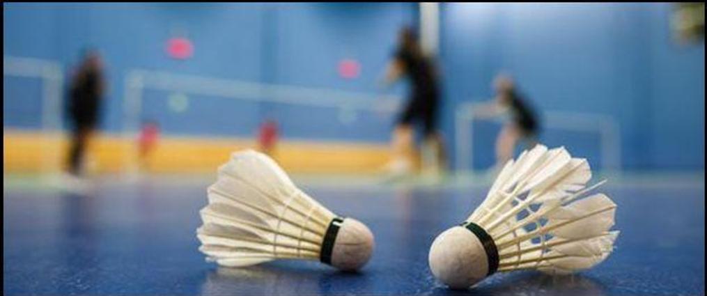 Vinding SF Badminton