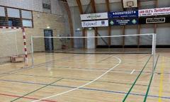 Badmintonbane