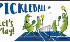 Pickleballbane