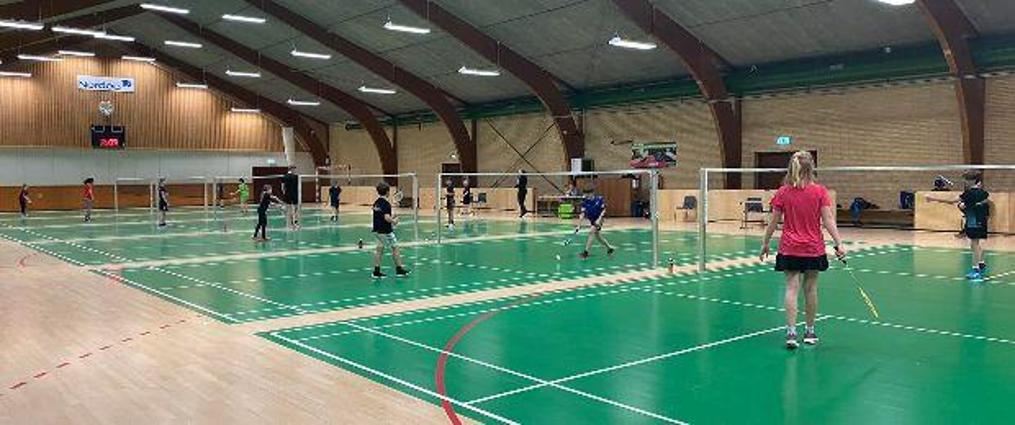 Badmintonbane