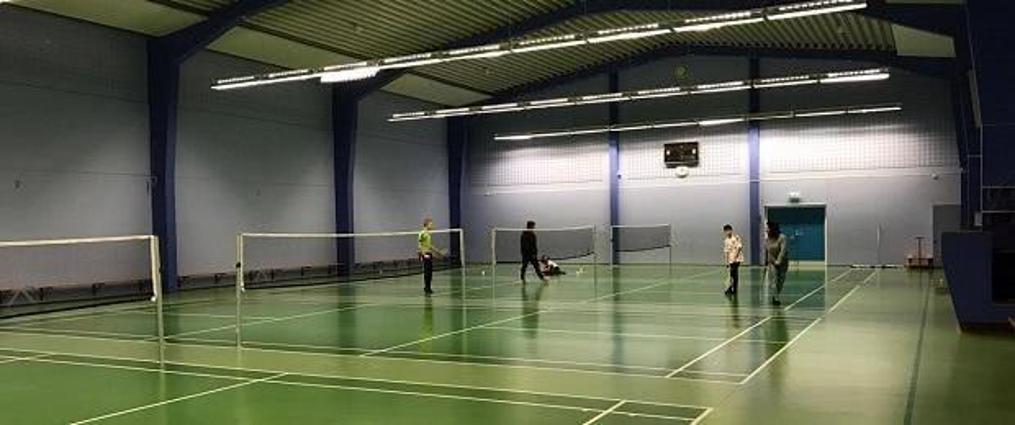 Badmintonbane