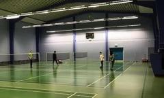 Badmintonbane