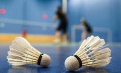 Badmintonbane